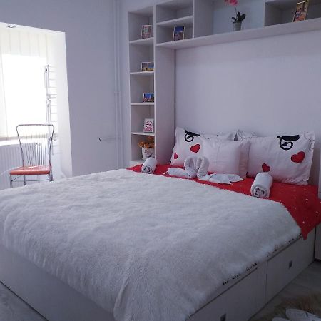 Epic Apartment Timişoara Eksteriør billede