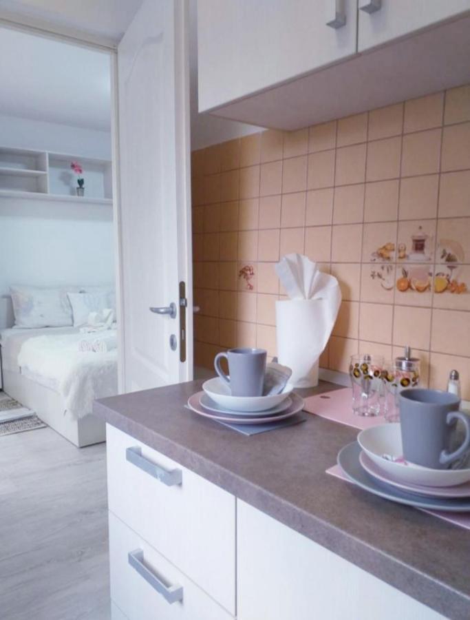 Epic Apartment Timişoara Eksteriør billede
